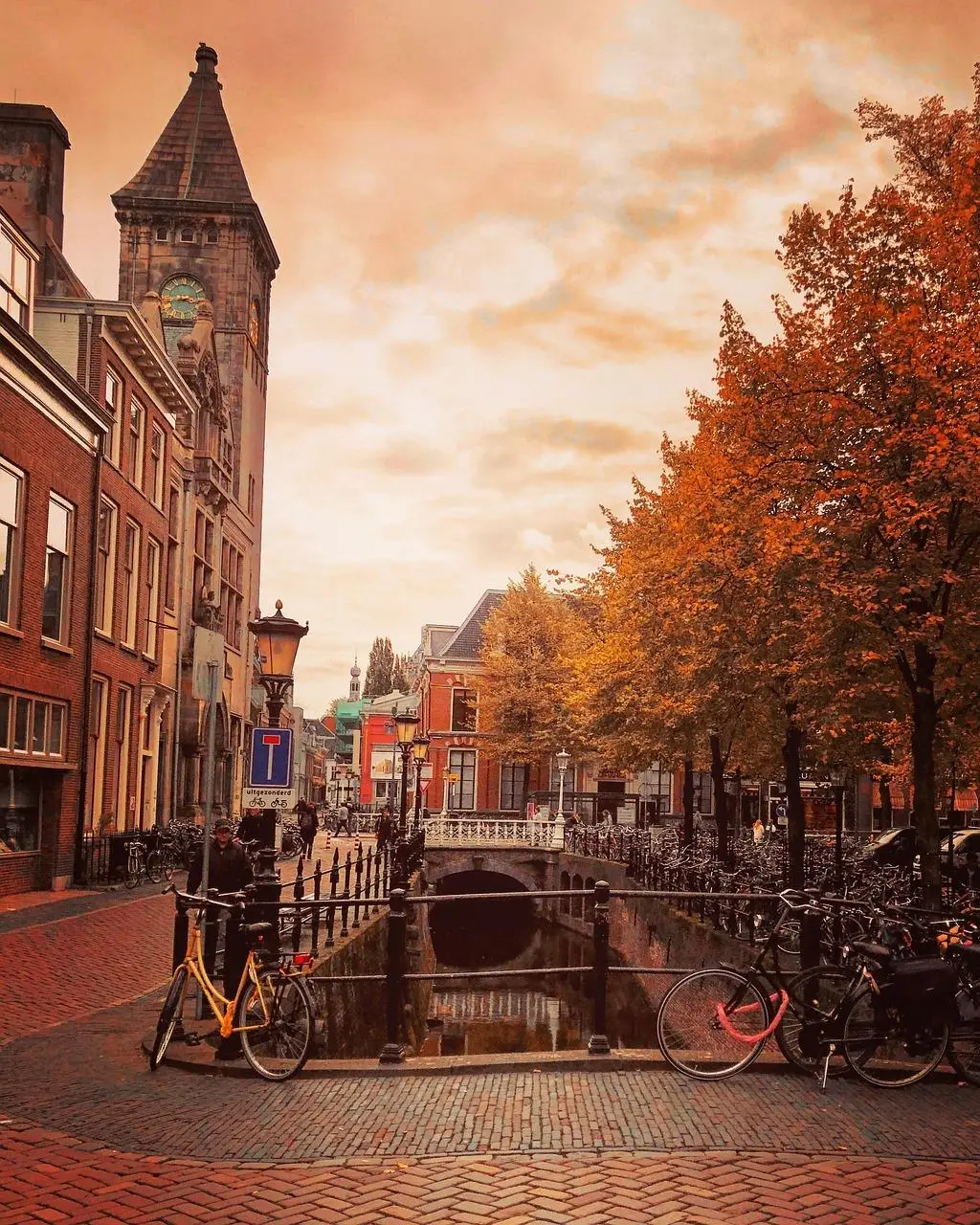 Lokaal adverteren Utrechtse Heuvelrug